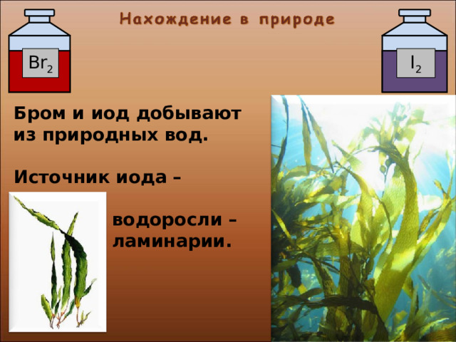 Br 2 I 2 Бром и иод добывают из природных вод.  Источник иода – морские  водоросли –  ламинарии. 17 