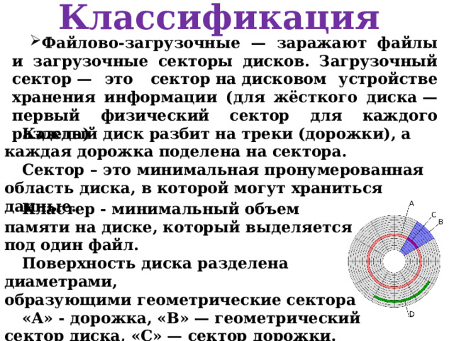 Классификация Файлово-загрузочные — заражают файлы и загрузочные секторы дисков. Загрузочный сектор — это  сектор на дисковом устройстве хранения информации (для жёсткого диска — первый физический сектор для каждого раздела) Каждый диск разбит на треки (дорожки), а каждая дорожка поделена на сектора. Сектор – это минимальная пронумерованная область диска, в которой могут храниться данные. Кластер - минимальный объем памяти на диске, который выделяется под один файл. Поверхность диска разделена диаметрами, образующими геометрические сектора «А» - дорожка, «В» — геометрический сектор диска, «С» — сектор дорожки. кластер «D» может занимать несколько секторов дорожки. 