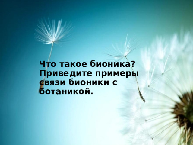 Что такое бионика?  Приведите примеры связи бионики с ботаникой. 