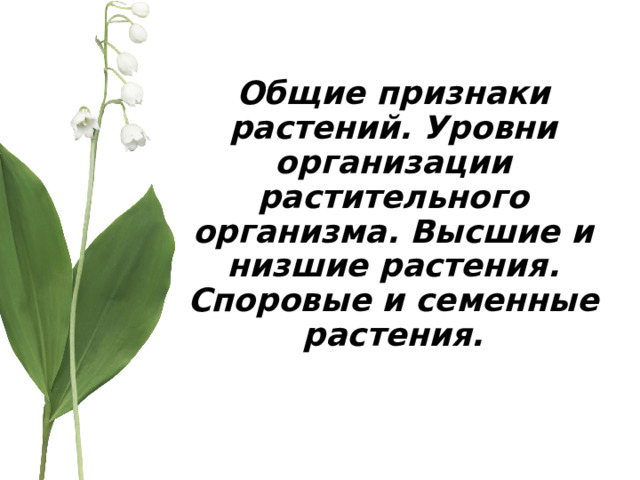      Общие признаки растений. Уровни организации растительного организма. Высшие и низшие растения. Споровые и семенные растения. 