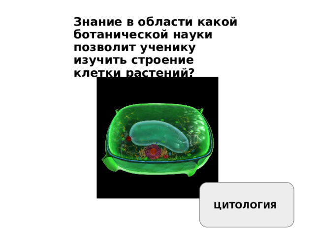 Знание в области какой ботанической науки позволит ученику изучить строение клетки растений? ЦИТОЛОГИЯ 