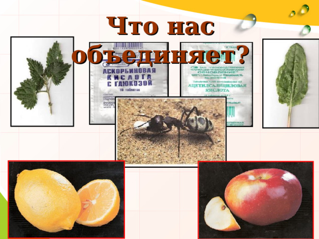 Что нас объединяет?   