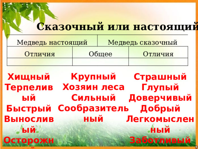 Сказочный или настоящий? Медведь настоящий Отличия Общее Медведь сказочный Отличия Крупный Хозяин леса Сильный Сообразительный Хищный Страшный Терпеливый Глупый Быстрый Доверчивый Выносливый Добрый Осторожный Легкомысленный Заботливый  