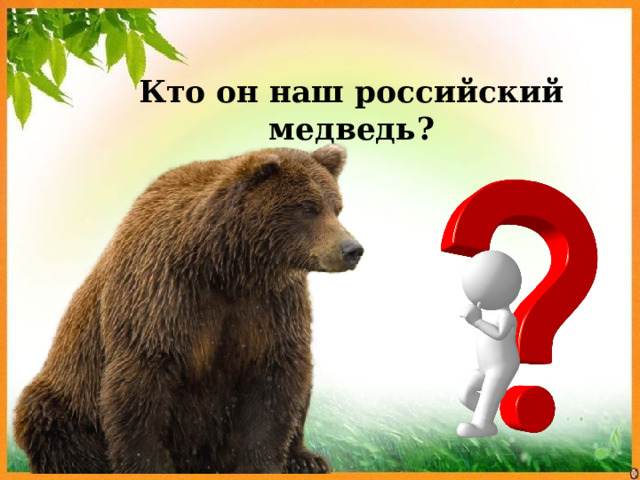 Кто он наш российский медведь? 