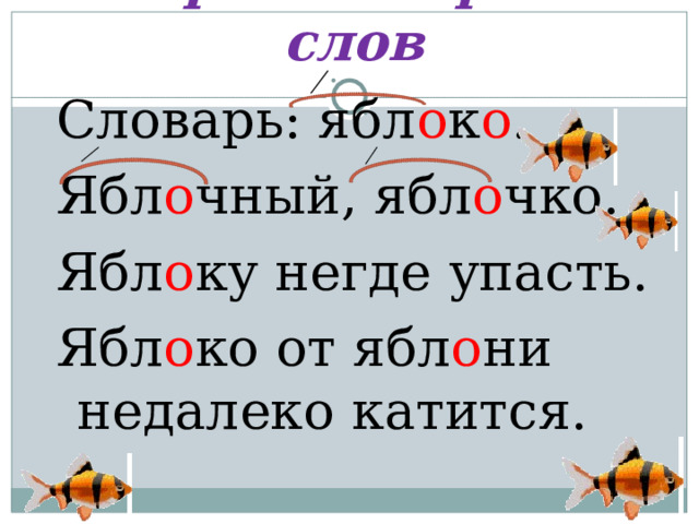 Море Словарных слов Словарь: ябл о к о . Ябл о чный, ябл о чко. Ябл о ку негде упасть. Ябл о ко от ябл о ни недалеко катится.  