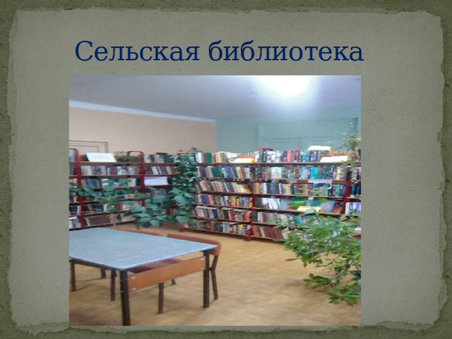  Сельская библиотека 