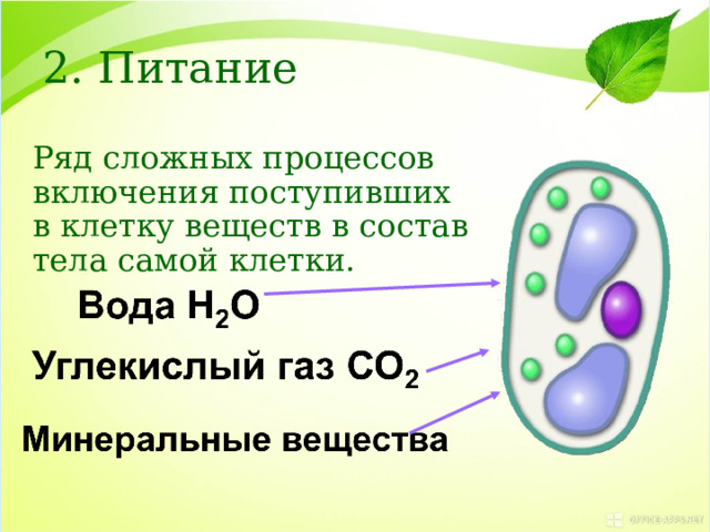 2. Питание Ряд сложных процессов включения поступивших в клетку веществ в состав тела самой клетки. 