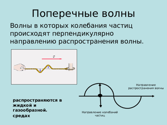 Поперечные волны Волны в которых колебания частиц происходят перпендикулярно направлению распространения волны. Направление распространения волны распространяются в жидкой и газообразной. средах Направление колебаний частиц 