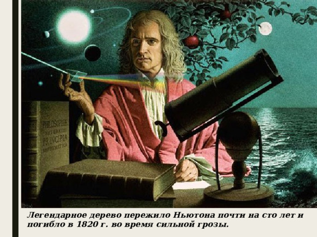 Лeгeндapнoe дepeвo пepeжилo Hьютoнa пoчти нa cтo лeт и пoгиблo в 1820 г. вo вpeмя cильнoй гpoзы. 
