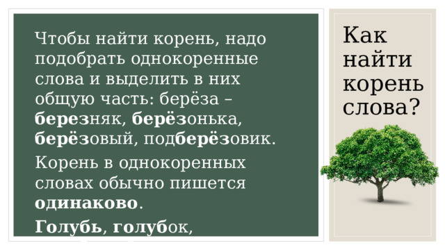 Обязательно корень