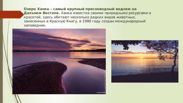 Озеро Ханка – самый крупный пресноводный водоем на Дальнем Востоке.  Ханка известна своими природными ресурсами и красотой, здесь обитают несколько редких видов животных, занесенных в Красную Книгу, в 1990 году создан международный заповедник. 