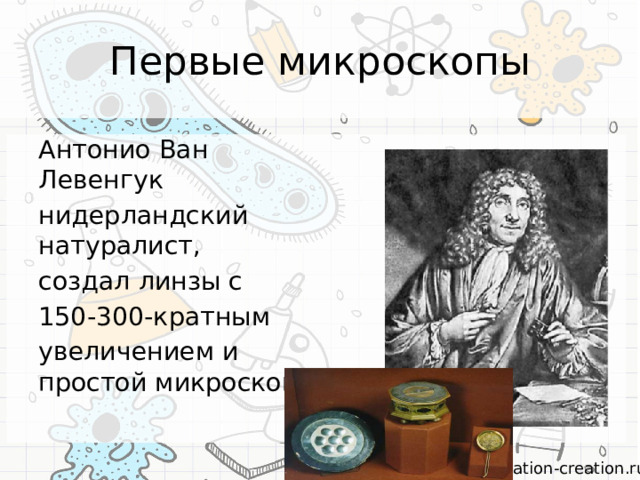 Первые микроскопы Антонио Ван Левенгук нидерландский натуралист, создал линзы с 150-300-кратным увеличением и простой микроскоп 