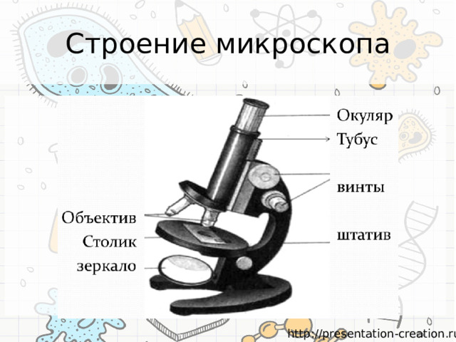 Строение микроскопа 