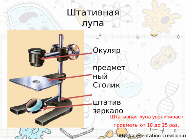 Штативная  лупа Окуляр предметный Столик штатив зеркало Штативная лупа увеличивает предметы от 10 до 25 раз . 