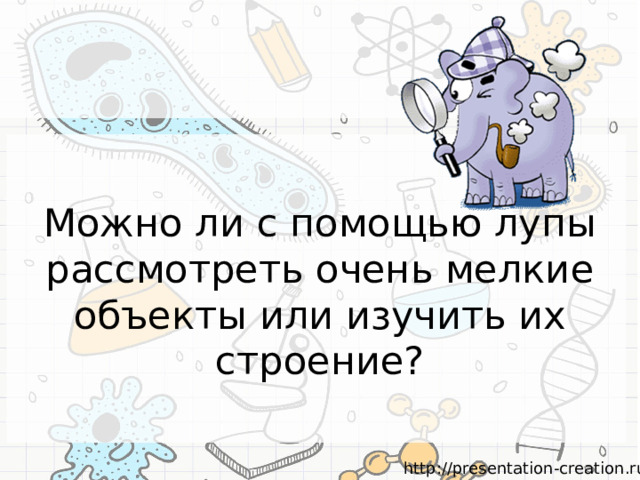 Можно ли с помощью лупы рассмотреть очень мелкие объекты или изучить их строение? 