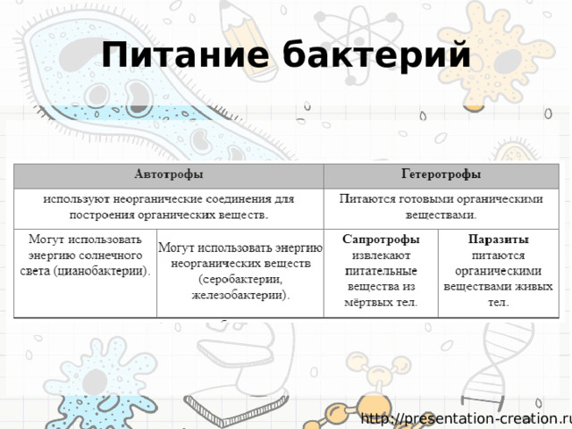 Схема питания бактерий. Схемы по бактериям.