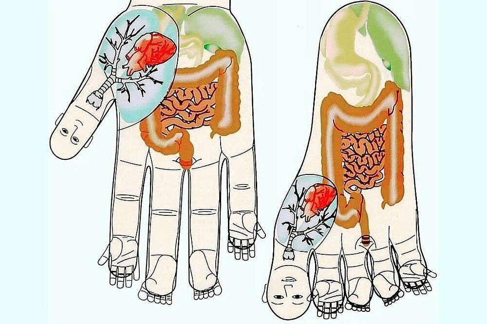 Суджоку. Су Джок селезенка. Су Джок терапия ладонь. Су Джок стопа. Акупунктура по Су Джок.