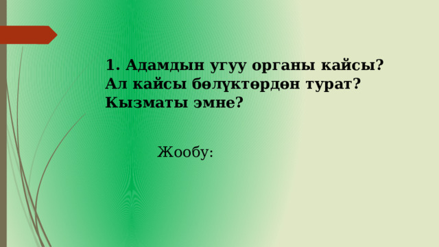 1. Адамдын угуу органы кайсы? Ал кайсы бөлүктөрдөн турат? Кызматы эмне? Жообу: 