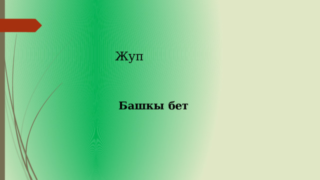 Жуп Башкы бет 