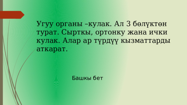 Угуу органы –кулак. Ал 3 бөлүктөн турат. Сырткы, ортонку жана ички кулак. Алар ар түрдүү кызматтарды аткарат. Башкы бет 