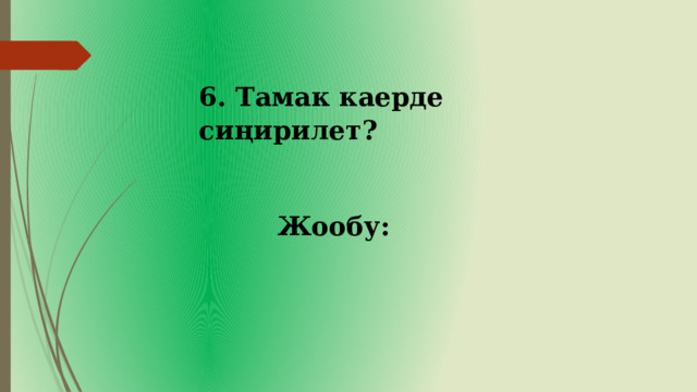 6. Тамак каерде сиңирилет? Жообу: 