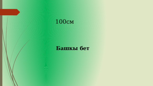 100см Башкы бет 