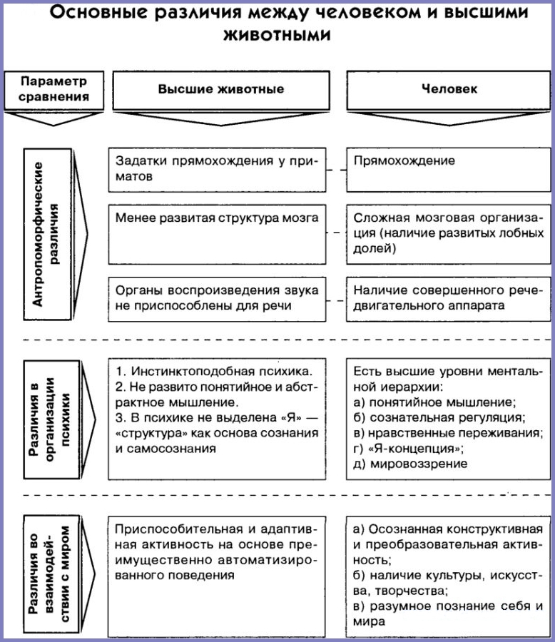 Основные различия. Сравнение свойств человека и животных таблица. Различия между человеком и животным таблица. Отличие психики человека от психики животных таблица. Сходства и различия между человеком и животным таблица.
