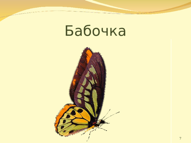 Бабочка  