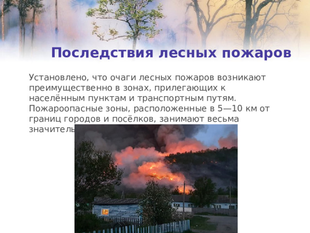 Последствия лесных пожаров Установлено, что очаги лесных пожаров возникают преимущественно в зонах, прилегающих к населённым пунктам и транспортным путям. Пожароопасные зоны, расположенные в 5—10 км от границ городов и посёлков, занимают весьма значительные площади. 