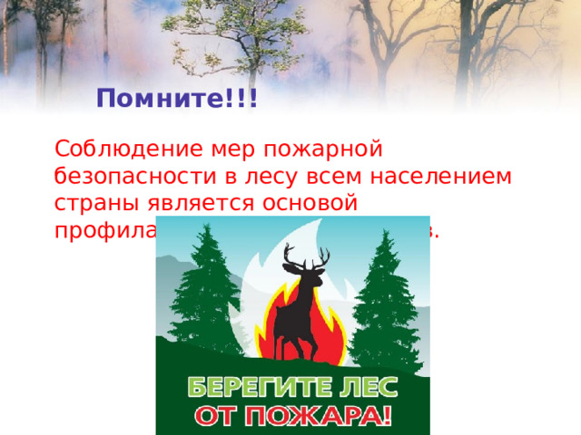 Помните!!! Соблюдение мер пожарной безопасности в лесу всем населением страны является основой профилактики лесных пожаров. 