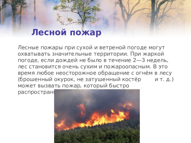 Лесной пожар Лесные пожары при сухой и ветреной погоде могут охватывать значительные территории. При жаркой погоде, если дождей не было в течение 2—3 недель, лес становится очень сухим и пожароопасным. В это время любое неосторожное обращение с огнём в лесу (брошенный окурок, не затушенный костёр и т. д.) может вызвать пожар, который быстро распространится по лесной территории. 