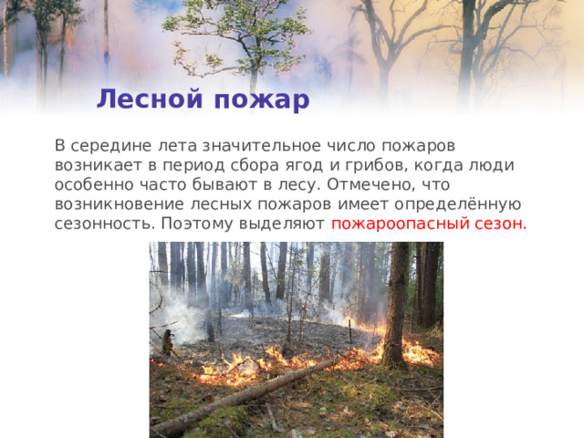 Лесной пожар В середине лета значительное число пожаров возникает в период сбора ягод и грибов, когда люди особенно часто бывают в лесу. Отмечено, что возникновение лесных пожаров имеет определённую сезонность. Поэтому выделяют пожароопасный сезон. 