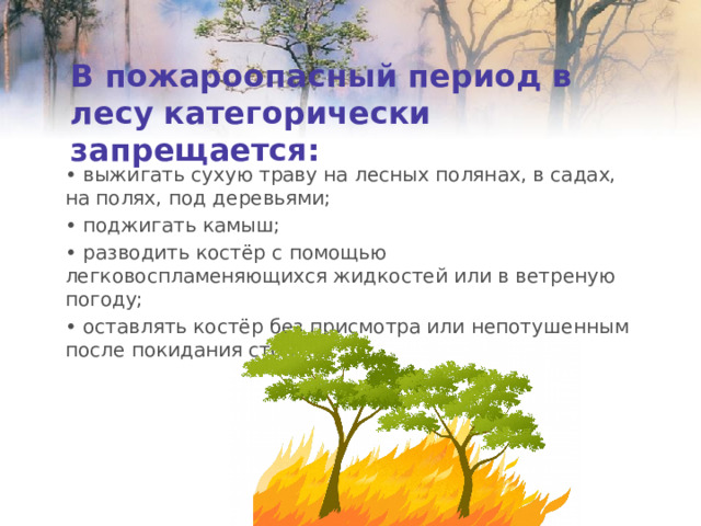 В пожароопасный период в  лесу категорически запрещается: • выжигать сухую траву на лесных полянах, в садах, на полях, под деревьями; • поджигать камыш; • разводить костёр с помощью легковоспламеняющихся жидкостей или в ветреную погоду; • оставлять костёр без присмотра или непотушенным после покидания стоянки. 