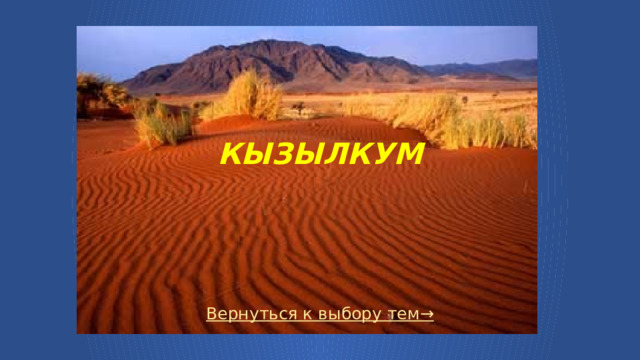 Кызылкум      Вернуться к выбору тем→  