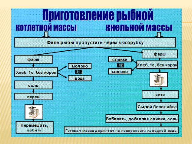 Процесса приготовления рыбной котлетной массы. Схема приготовления котлетной массы из рыбы кратко. Рыбные полуфабрикаты из котлетной и кнельной массы. Технология приготовления кнельной и котлетной массы. Кнельная масса.