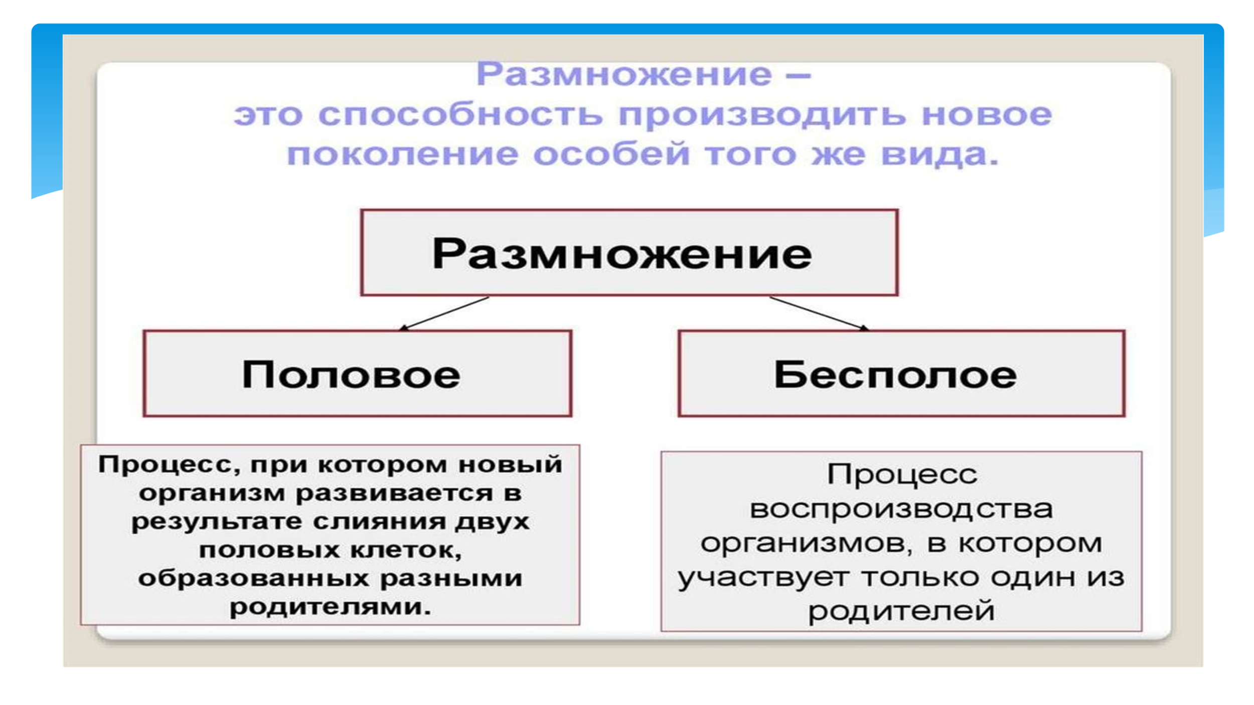 Разработка открытого урока биологии по теме 