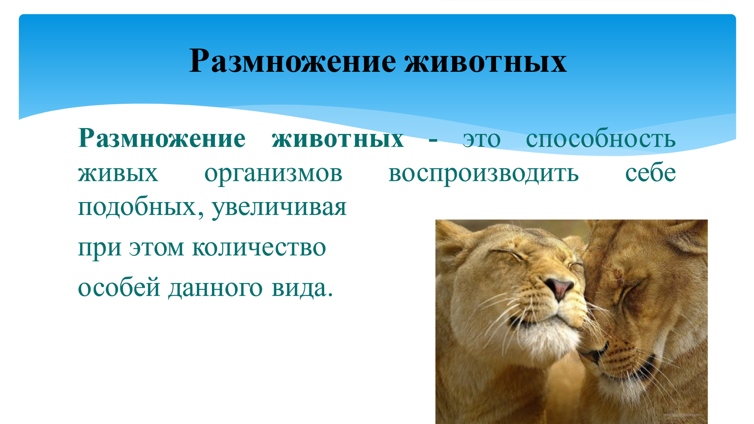 Разработка открытого урока биологии по теме 