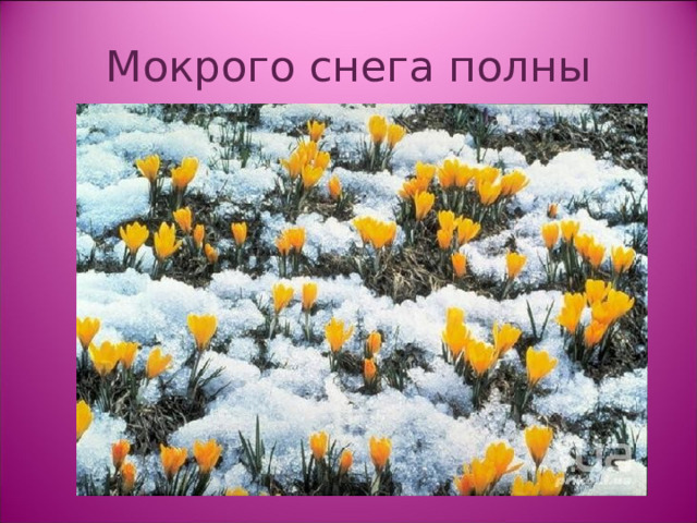 Мокрого снега полны 