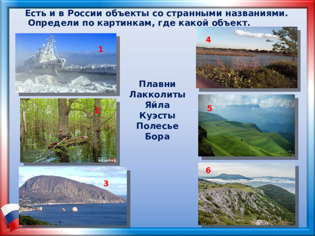 Есть и в России объекты со странными названиями. Определи по картинкам, где какой объект. 4 1 Плавни Лакколиты Яйла Куэсты Полесье Бора 5 2 6 3 