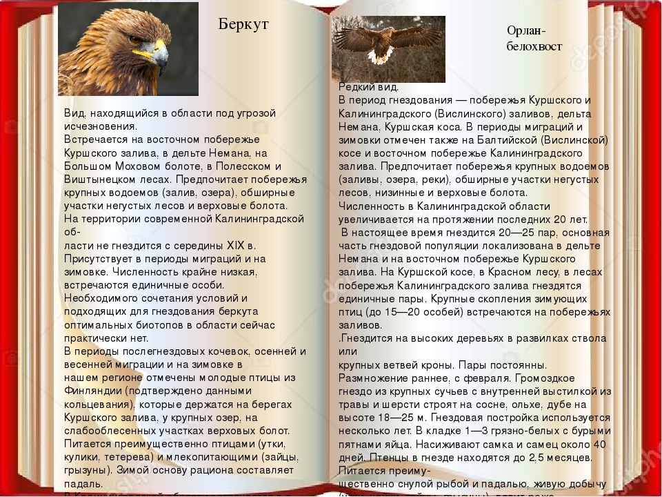Александр Плетнёв. Проект "Орлан" - Цикл из 7 книг (Альтернативная история, Воен