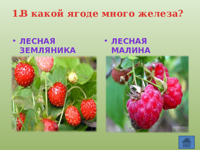 В какой ягоде много железа?   Лесная земляника Лесная малина 