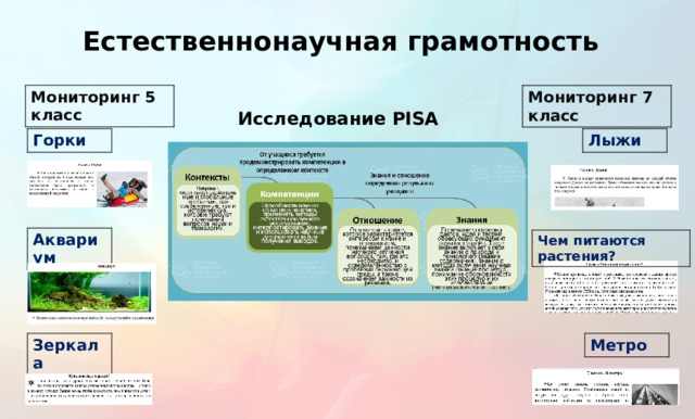 Естественнонаучная грамотность Мониторинг 5 класс Мониторинг 7 класс Исследование PISA Лыжи Горки Аквариум Чем питаются растения? Метро Зеркала  