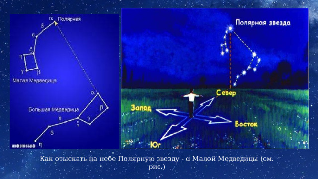 Как отыскать на небе Полярную звезду - ɑ Малой Медведицы (см. рис.) 