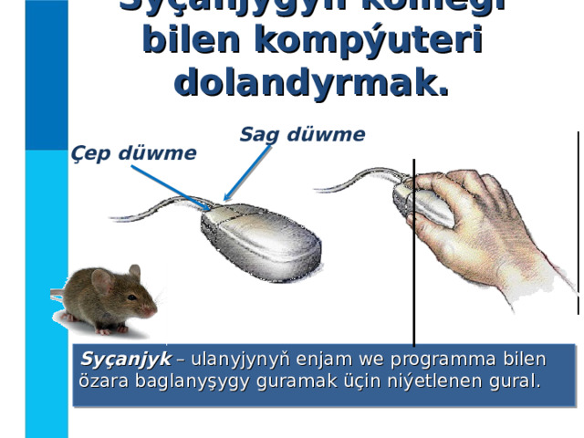 Syçanjygyň kömegi bilen kompýuteri dolandyrmak. Sag düwme Ç ep düwme Syçanjyk – ulanyjynyň enjam we programma bilen özara baglanyşygy guramak üçin niýetlenen gural. 