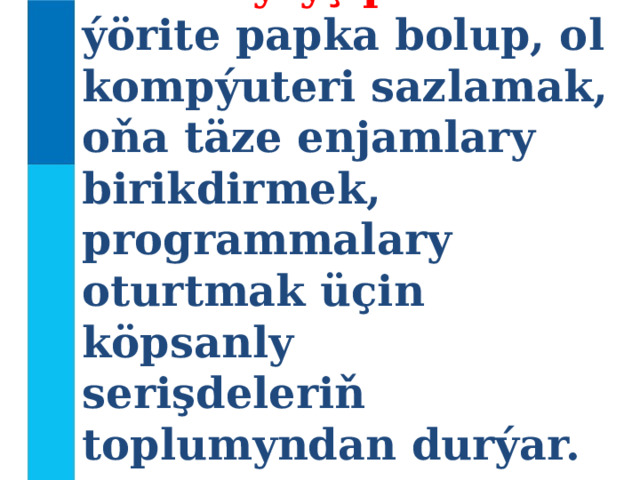 Dolandyryş paneli – bu ýörite papka bolup, ol kompýuteri sazlamak,  oňa täze enjamlary birikdirmek, programmalary oturtmak üçin köpsanly  serişdeleriň toplumyndan durýar. 