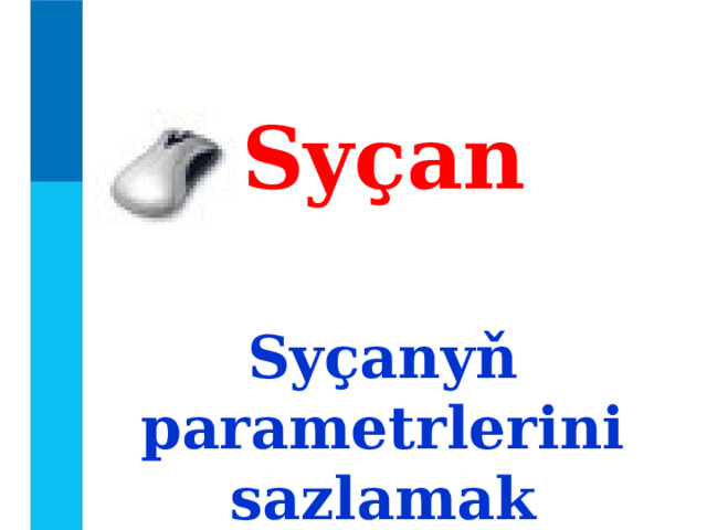 Syçan Syçanyň parametrlerini sazlamak 