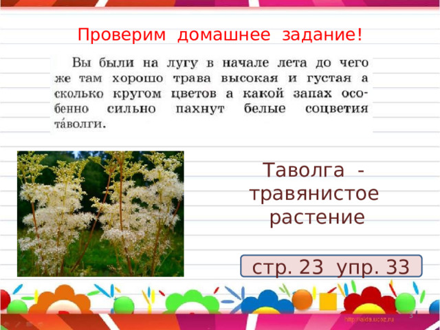 Проверим домашнее задание! Таволга - травянистое растение стр. 23 упр. 33  
