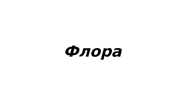  Флора  