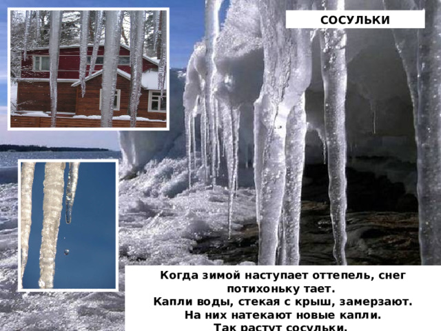 СОСУЛЬКИ                                                           Когда зимой наступает оттепель, снег потихоньку тает.  Капли воды, стекая с крыш, замерзают.  На них натекают новые капли.  Так растут сосульки. 