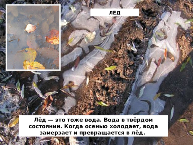 ЛЁД Лёд — это тоже вода. Вода в твёрдом состоянии. Когда осенью холодает, вода замерзает и превращается в лёд.  